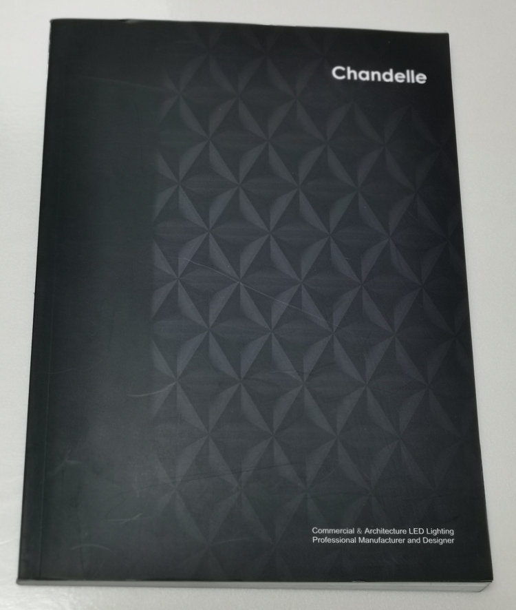 chandelle-企業(yè)英文宣傳冊印刷制作